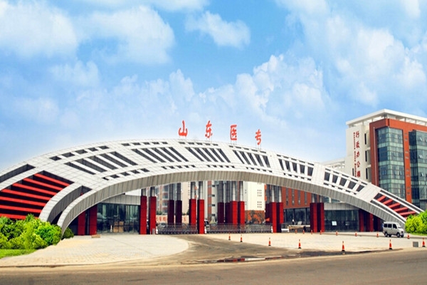 山東醫(yī)學高等?？茖W校樓宇智能化系統(tǒng)項目